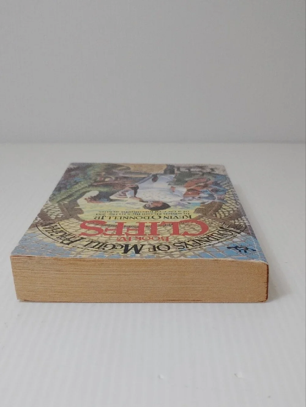8 For $8 Journeys of McGill Feighan: Cliffs - White Book Cover